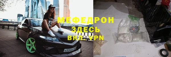 индика Алексин