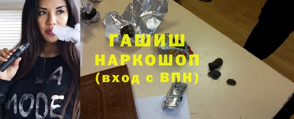 индика Алексин