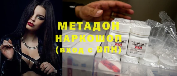 индика Алексин