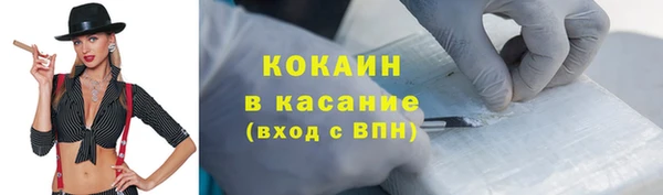 индика Алексин