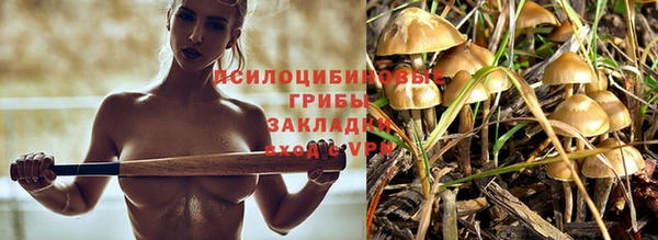 гидра Медногорск