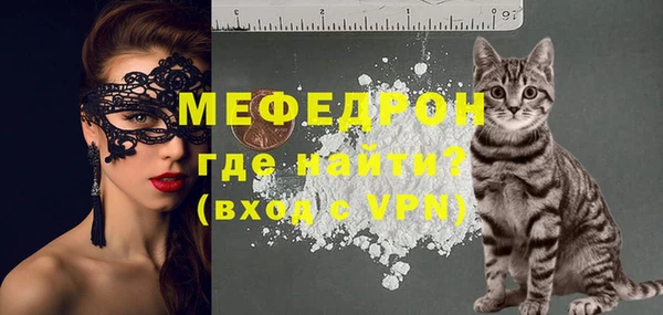 индика Алексин
