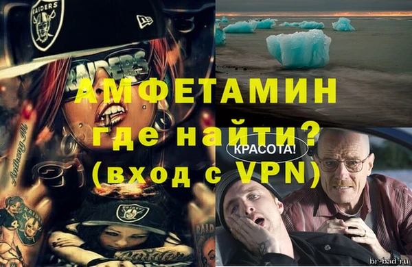 индика Алексин
